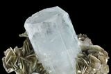 Gorgeous Aquamarine Crystal On Muscovite - Pakistan #97666-2